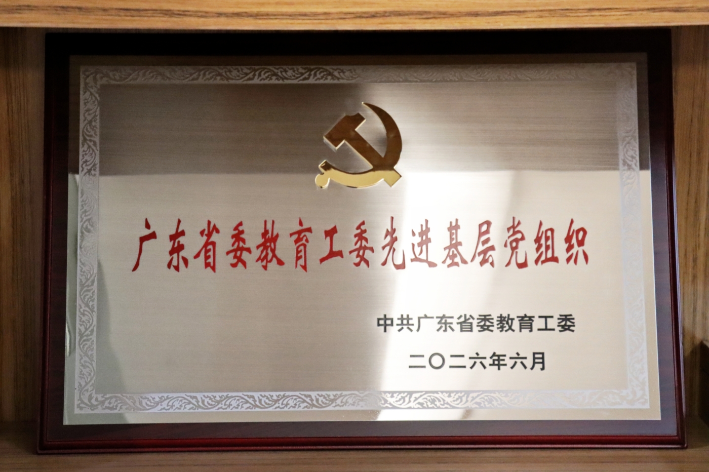 微信图片_20260701100607_78_17_副本.jpg